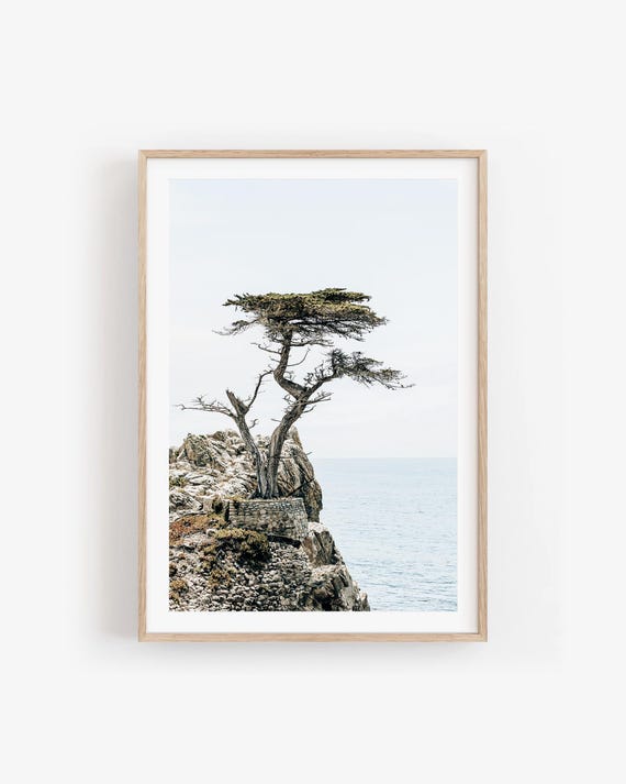 Lone Cypress Monterey Print: California Coastal Cliff Photography