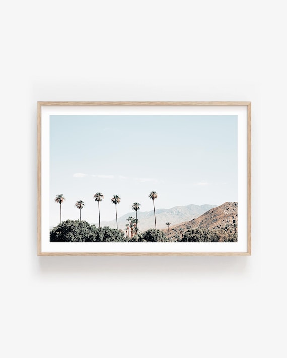 Palm Springs Wall Art: Minimalist Palm Trees & Mountain Photography