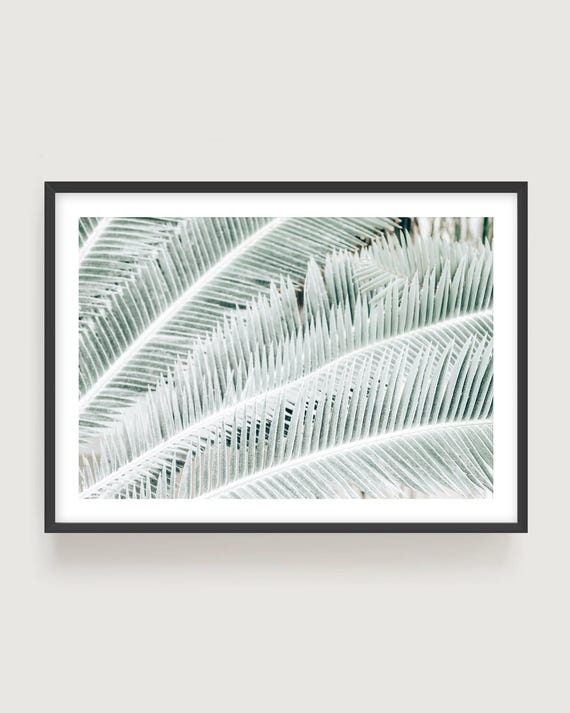 Tropical Wall Art – Mint Green Palm Leaf Photography, Minimalist Neutral Print