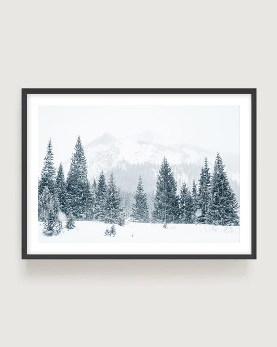 Colorado Winter Wall Art - Snowy Mountain Trees Fine Art Photography