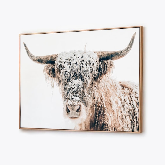 Highland Cow Canvas Wall Art, Winter Portrait, Rustic Framed Canvas Print
