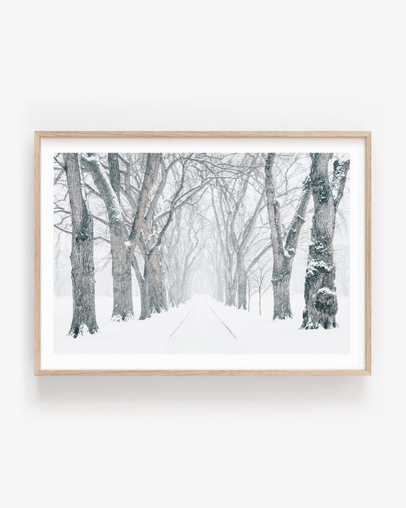 Dreamy Winter Path Wall Art: Snowy Trees Photography Print, Framed or Unframed Fine Art