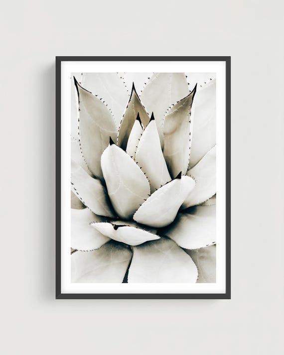 Muted Neutral Botanical Wall Art - Abstract Agave Close Up Print in Soft Tones
