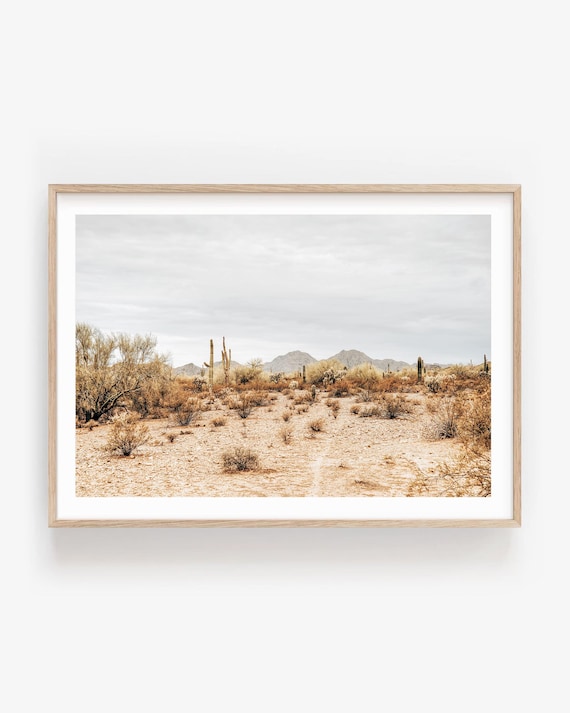 Sonoran Desert Framed Print: Beige Neutral Landscape Photography