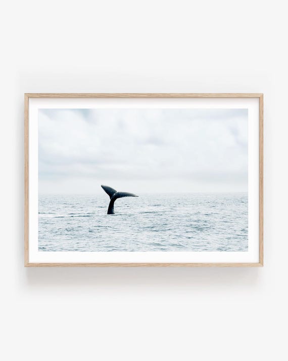 Whale Tail Ocean Print - Marine Wildlife Photography Wall Art