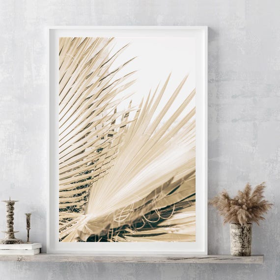 Minimalist Palm Photography: Fine Art Print, Neutral Botanical Desert Wall Decor