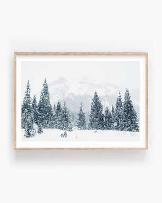 Colorado Winter Wall Art: Snowy Mountain Trees Fine Art Photography