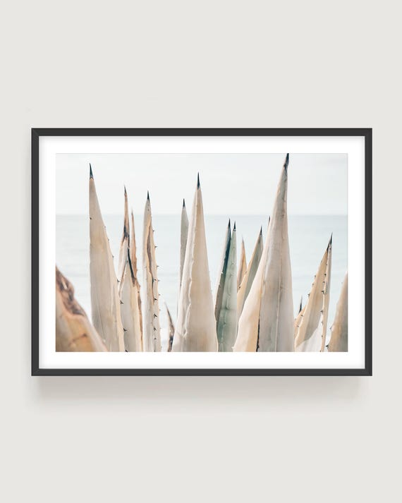Muted Coastal Agave Fine Art Print - Neutral Botanical Beach House Decor