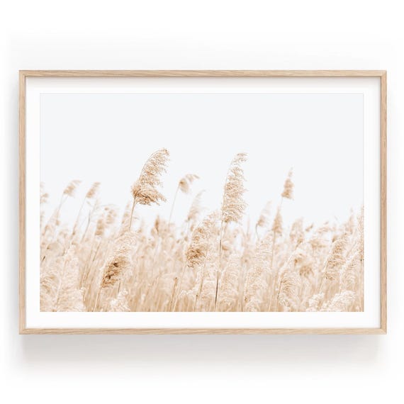 Pampas Grass Photography Print, Minimalist Coastal Wall Art Framed or Unframed Print