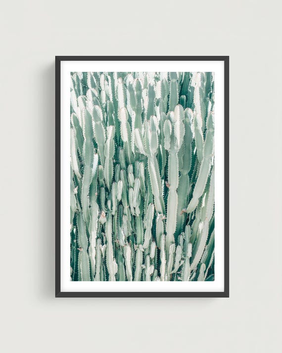 Saguaro Cactus Fine Art Print, Southwestern Desert Wall Art, Framed or Unframed Photography