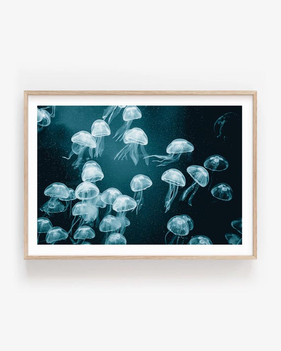 Jellyfish Wall Art - Serene Underwater Print for Modern Coastal Home Décor