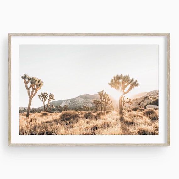 Joshua Tree Desert Photography Wall Art, Framed Unframed
