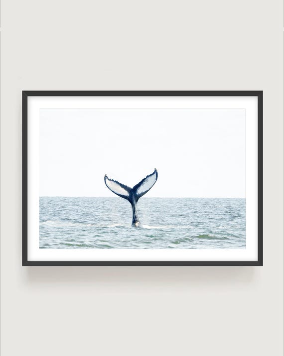 Whale Tail Fine Art Print - Minimal Coastal Wall Decor in Soft Neutral Tones