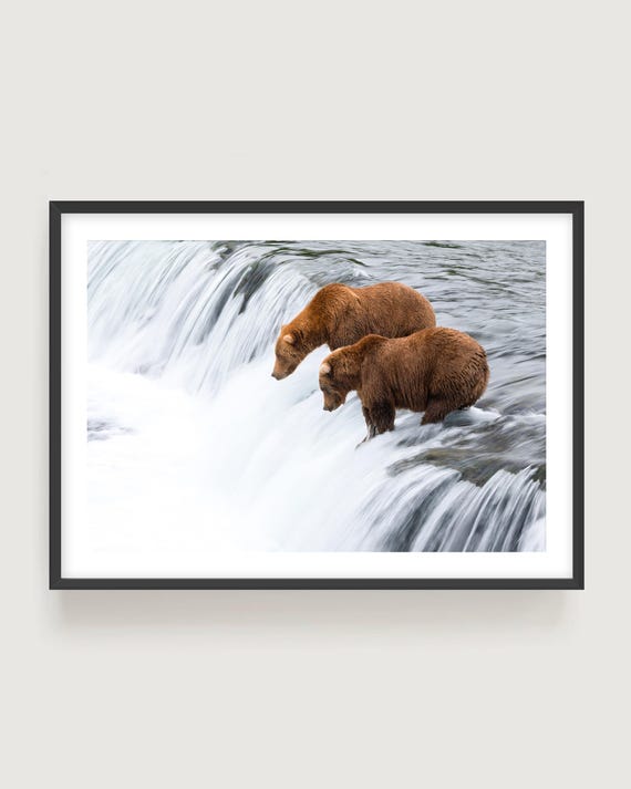 Bears Wall Art – Rustic Wildlife Photography Print for Nature Inspired Decor