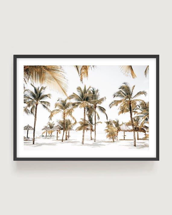 Tropical Palm Tree Beach Print - Golden Sunlight Coastal Photography