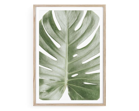 Monstera Leaf Framed Print: Minimalist Coastal Wall Art