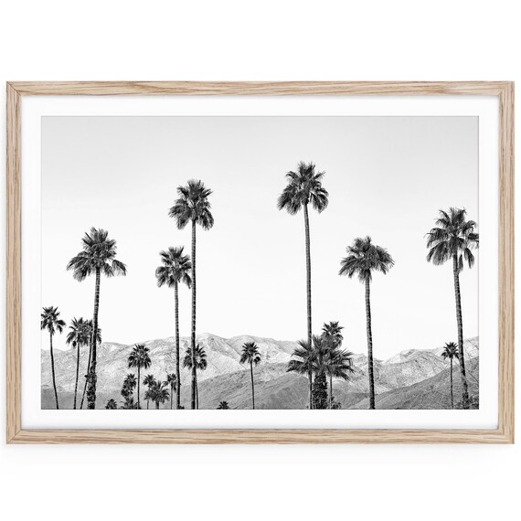 Palm Springs Art Print: Black and White Palm Tree Photography