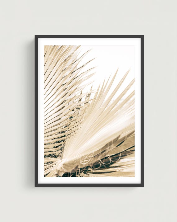 Minimalist Palm Leaf Photography - Beige Neutral Botanical Fine Art Print, Framed or Unframed