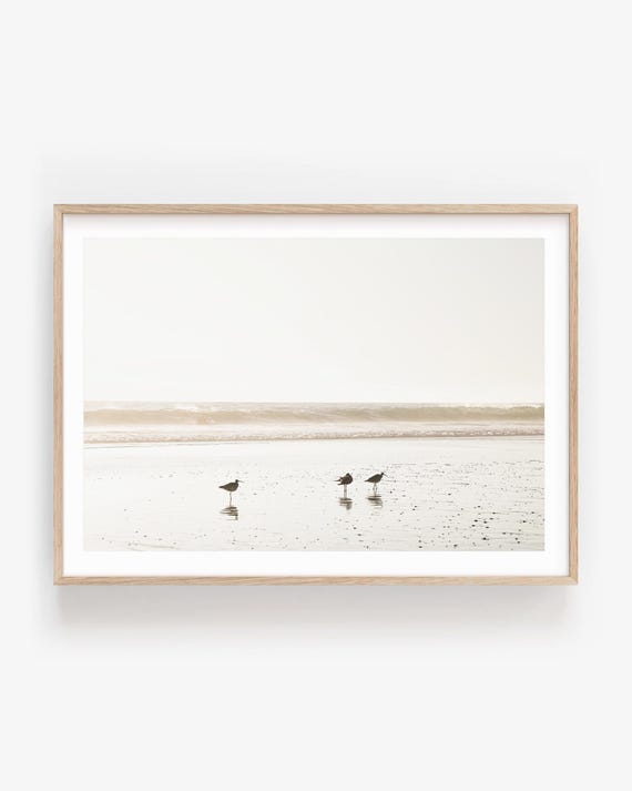 Sandpipers Beach Photography - Neutral Coastal Wall Art, Minimalist Fine Art Print