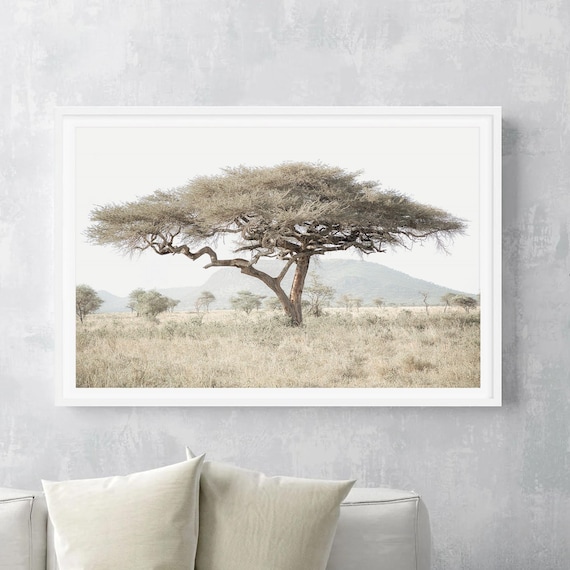 Minimalist Tree Photography, Muted Nature Fine Art Print, Framed or Unframed Neutral Wall Art