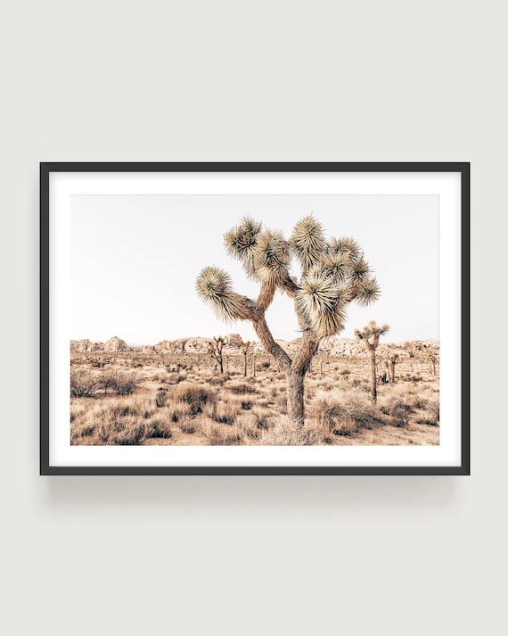 Joshua Tree Fine Art Print - Boho Desert Landscape Framed Photography