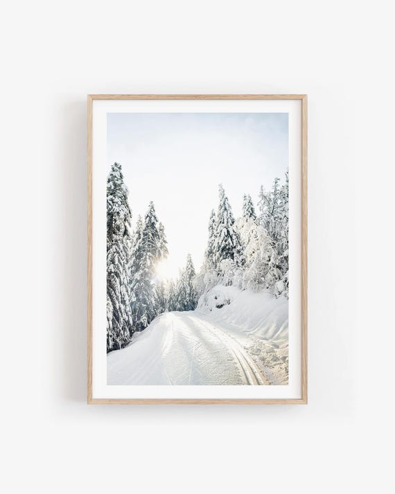 Winter Forest Wall Art - Snowy Trees Photography, White Christmas Fine Art Print