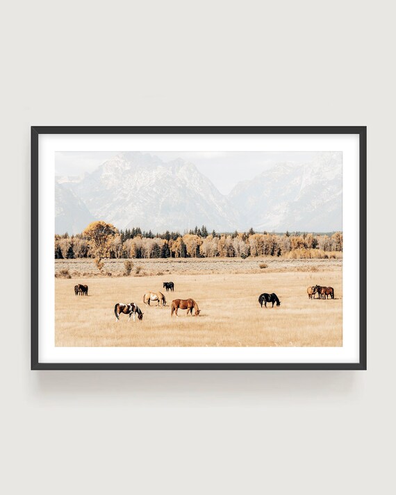 Brown Horses Wall Art Print - Warm Neutral Landscape Photography for Modern Interiors