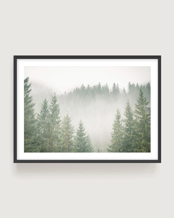 Foggy Forest Giclée Print, Neutral Landscape Photography, Framed or Unframed Wall Art