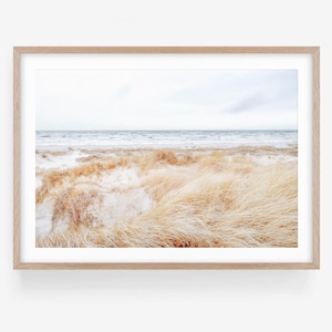 Beach Grass Wall Art Print - Framed Minimalist Boho Coastal Fine Art Photography