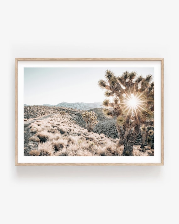 Joshua Tree Photography Print - Beige Neutral Desert Landscape Wall Art