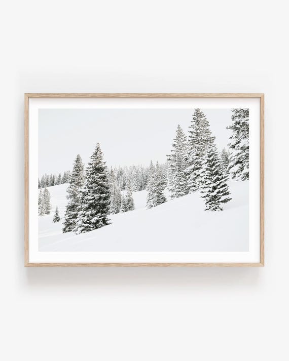 Winter Forest Wall Art Print: Snowy Trees Minimalist Landscape Photography