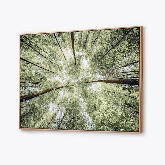 Framed Forest Canopy Canvas Print: Cottagecore Tree Wall Art