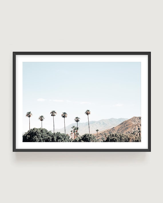 Palm Springs Wall Art: Minimalist Palm Trees & Mountain Photography