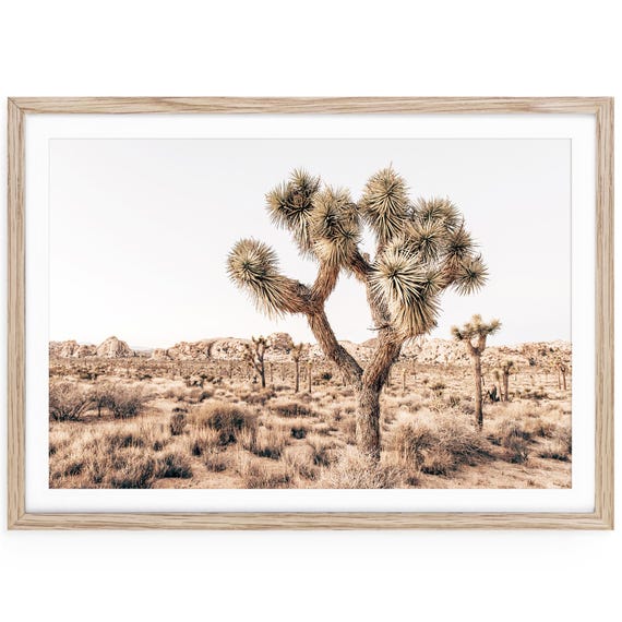 Joshua Tree Fine Art Print: Boho Desert Landscape Photography