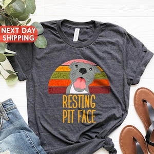 Pitbull Shirt - Don't Believe The Bull Adopt A Pit - Funny Pit Bull Do –  Aurlex Tees