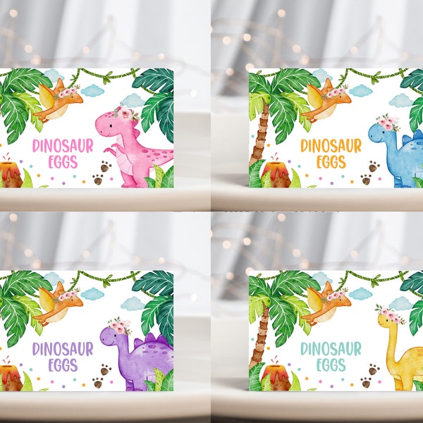 Dinosaur Baby Shower Food Tents It's a Girl Birthday Party Decor Cute Dino Food Label Jungle Animal Place Cards Buffet Printable BS38P BT16P