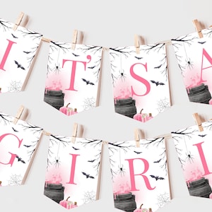 A Baby is Brewing Halloween Baby Shower Banner Witch Gender Neutral Party Decor Girl Pink Fall Autumn Garland EDITABLE Photo Prop BS66P