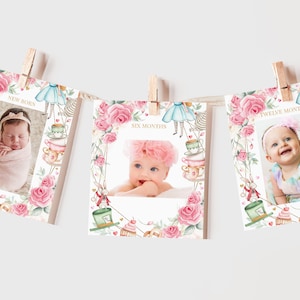 Alice in Wonderland Monthly Photo Banner Alice in Onederland Girl 1st Birthday Party Decor Mad Hatter Tea Party 12 Month Printable BT11P