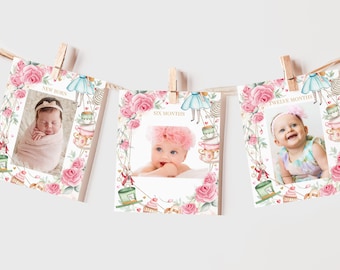 Alice in Wonderland Monthly Photo Banner Alice in Onederland Girl 1st Birthday Party Decor Mad Hatter Tea Party 12 Month Printable BT11P