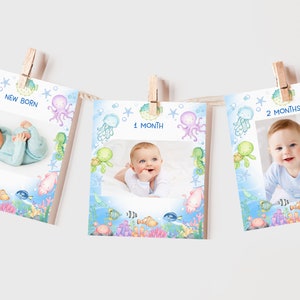 Under the Sea Monthly Photo Banner Ocean Animals Boy 1st Birthday Decor Underwater Sea Life Animals 12 Month Bunting Flag EDITABLE AT07B
