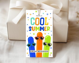 Have a Cool Summer Gift Tags End of School Year Gifts Freeze Pop Ice Popsicle Favor Tag Teacher Classroom Student Treat Tags Printable SU03B