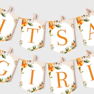 Orange Baby Shower Banner Little Cutie Girl Gender Neutral Dekor Tropische Citrus Tangerine Blumenbogen Girlande EDITIERBARE Wimpelkette BS55O