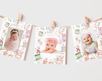Alice in Wonderland Monthly Photo Banner Alice in Onederland Girl 1st Birthday Party Decor Mad Hatter Tea Party 12 Month Printable BT11W