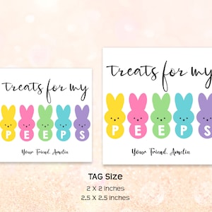 May include: Two printable gift tags featuring a row of five colourful cartoon peeps with the text "Treats for my PEEPS" and "Your Friend, Amelia". The tags are 2 x 2 inches and 2.5 x 2.5 inches.