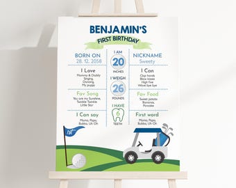 Golf Birthday Milestone Board Sign Hole In One Birthday Party Decor Boy First 1st Birthday Poster Golfing Let's Par-Tee Time EDITABLE BT24B