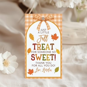 Op de afbeelding: Een rechthoekig cadeau-etiket met een oranje en witte ruitjespatroon. Het etiket heeft een strik bovenaan en de tekst "Just a Little Fall Treat for Someone So Sweet!" met herfstblad illustraties. Het etiket is gepersonaliseerd met de naam "Love, Amelia."