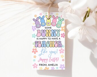 May include: A white gift tag with a colorful bunny design and the text "Some bunny is happy to have a teacher like you! Happy Easter! From, Amelia".