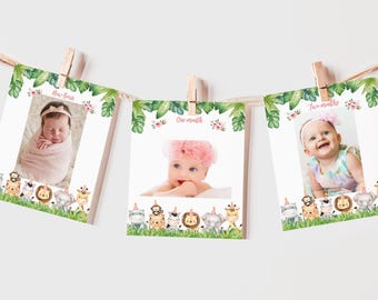 Banner de Aniversário Mensal com Fotos de Animais da Selva para Menina - Tema Safari - 12 Meses - Decoração para Festa no Zoológico - Rosa, Dourado e Verde - EDITÁVEL BT96P
