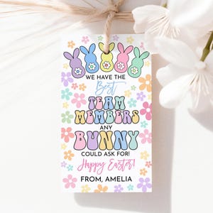 Nous avons les meilleurs membres de l'équipe que n'importe quel lapin pourrait demander des étiquettes-cadeaux de Pâques Personnel employé collègue étiquette de cadeau rétro groovy peeps imprimable HL90P