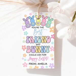You&#39;re The Best Friend Any Bunny Could Ask For Easter Gift Tags Kids School Classroom Classmate Treat Tag Retro Groovy Peeps Printable HL90P
